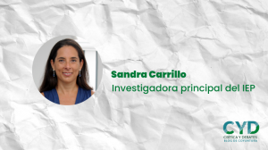 [CRÍTICA Y DEBATES] «Los retos del retorno a la presencialidad en la educación superior», por Sandra Carrillo